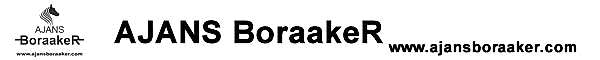 Ajans BoraakeR Logo