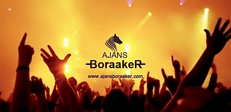 Organizasyon Ses Işık Görüntü Lansman Toplantı Seminer Festival