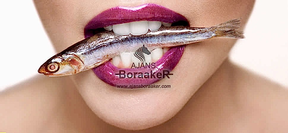 Basın Medya Planlama Projelendirme Ajansları